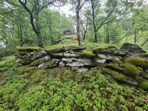 Børshauen