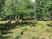 Osebergskogen