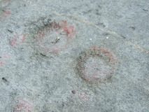 Råhaugen