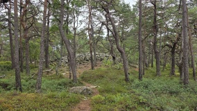 Stokkvikberget Gravfelt