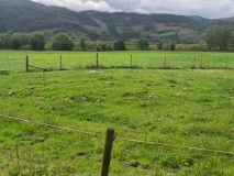 Sørheimsmoen