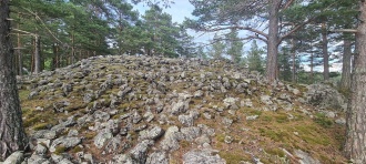 Svartnesodden
