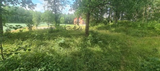 Møiland