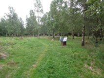 Stokke-Prestegårdsskogen