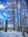 Vågøynes monument - PID:195688