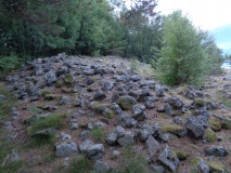 Håkonrøysa