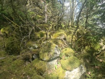 Børsåsen