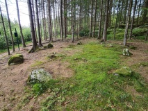 Møllers Ring