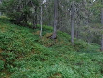 Gjevranslottet
