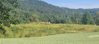 Holm-Holmsvegen Gravfelt