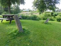 Alfstadhaug-Totenvegen