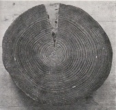 Rakni's Mound