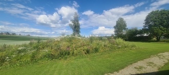 Jølstad Skole Gravhaug
