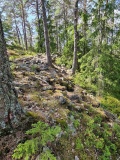 Olafsrud-Slottsåsen Hillfort