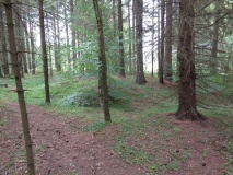 Bratthaugåsen