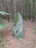 Bratthaugåsen