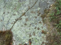 Råhaugen