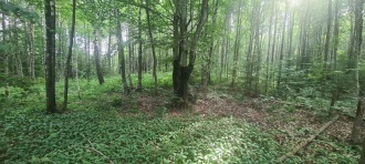 Ulleberg