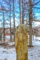 Vågøynes monument - PID:195678