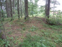 Bratthaugåsen