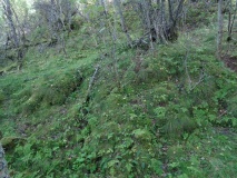 Høgstenen