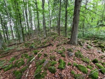 Adalsborgen Hillfort