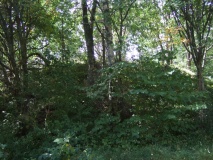 Vakthushaugen