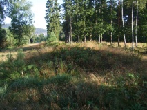 Stovelandsfeltet