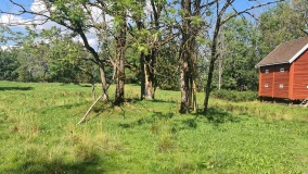 Våle-Prestegård