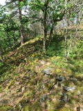 Juliusåsen Hillfort