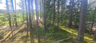 Kise-Rukarvegen