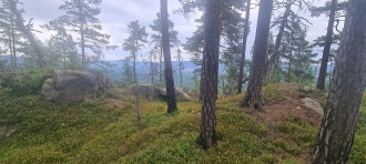 Bjomdalskollen