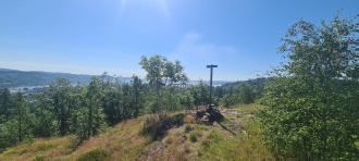 Steingardsåsen