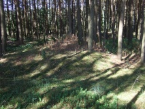 Gahremonen