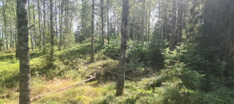 Moen med Grønlund