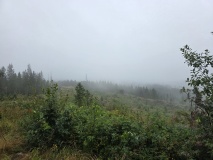 Borstadkampen