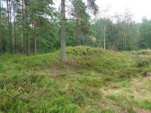 Heddelandsmonen