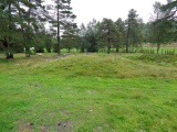 Sosteli