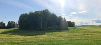 The Sund Mass Grave