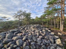 Lunderamsa