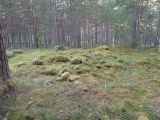 Hæreidsmoen