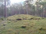 Hæreidsmoen