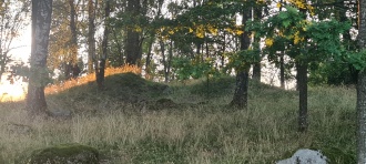 Askehagen