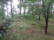 Tingsteinen