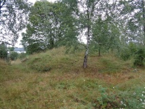 Smiuhaugen