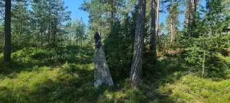 Folkestad Bautastein