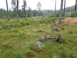 Sosteli