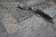 Ekeberg Rock Art - PID:212426