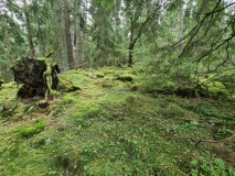 Gunnarstorp-Skole-Steinsettingen