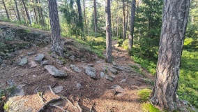 Fossokollen
